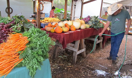 Boggy Creek Farmstand + Larry