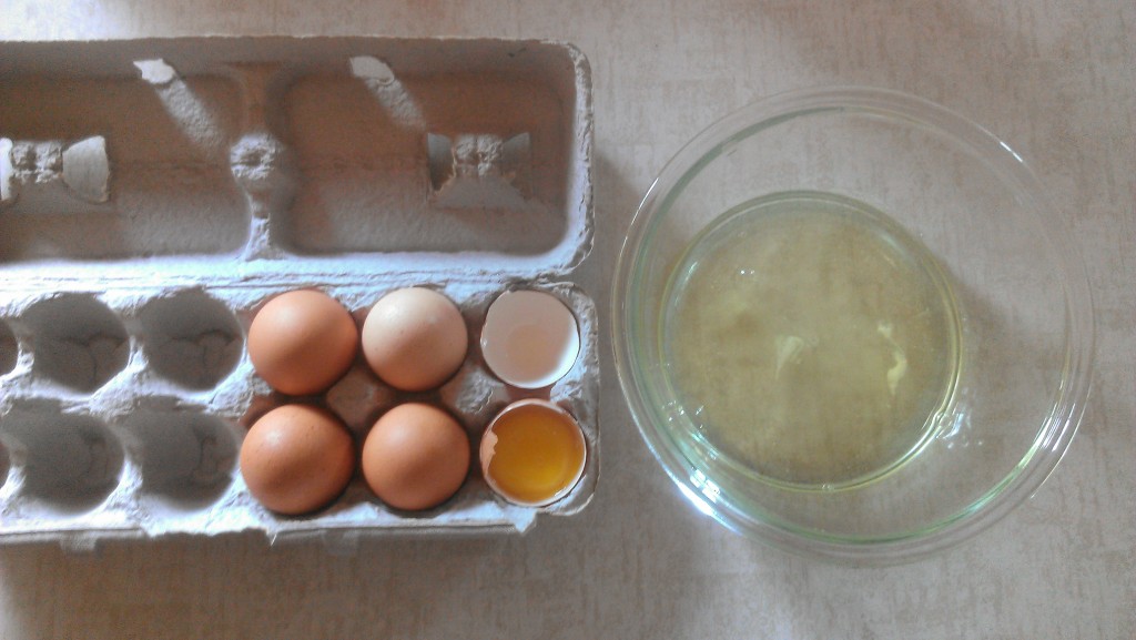 separated eggs and whites